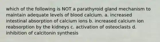 which of the following is NOT a parathyroid gland mechanism to maintain adequate levels of blood calcium. a. increased intestinal absorption of calcium ions b. increased calcium ion reabsorption by the kidneys c. activation of osteoclasts d. inhibition of calcitonin synthesis