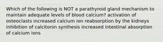 Which of the following is NOT a parathyroid gland mechanism to maintain adequate levels of blood calcium? activation of osteoclasts increased calcium ion reabsorption by the kidneys inhibition of calcitonin synthesis increased intestinal absorption of calcium ions