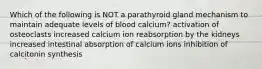 Which of the following is NOT a parathyroid gland mechanism to maintain adequate levels of blood calcium? activation of osteoclasts increased calcium ion reabsorption by the kidneys increased intestinal absorption of calcium ions inhibition of calcitonin synthesis