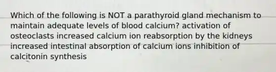 Which of the following is NOT a parathyroid gland mechanism to maintain adequate levels of blood calcium? activation of osteoclasts increased calcium ion reabsorption by the kidneys increased intestinal absorption of calcium ions inhibition of calcitonin synthesis