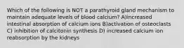 Which of the following is NOT a parathyroid gland mechanism to maintain adequate levels of blood calcium? A)increased intestinal absorption of calcium ions B)activation of osteoclasts C) inhibition of calcitonin synthesis D) increased calcium ion reabsorption by the kidneys