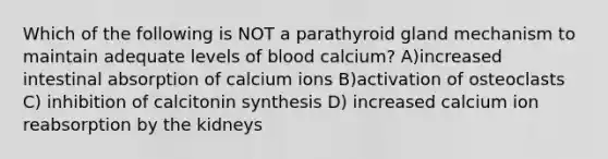 Which of the following is NOT a parathyroid gland mechanism to maintain adequate levels of blood calcium? A)increased intestinal absorption of calcium ions B)activation of osteoclasts C) inhibition of calcitonin synthesis D) increased calcium ion reabsorption by the kidneys