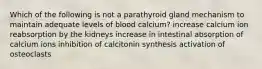 Which of the following is not a parathyroid gland mechanism to maintain adequate levels of blood calcium? increase calcium ion reabsorption by the kidneys increase in intestinal absorption of calcium ions inhibition of calcitonin synthesis activation of osteoclasts