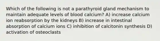 Which of the following is not a parathyroid gland mechanism to maintain adequate levels of blood calcium? A) increase calcium ion reabsorption by the kidneys B) increase in intestinal absorption of calcium ions C) inhibition of calcitonin synthesis D) activation of osteoclasts