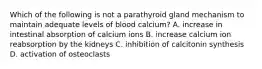 Which of the following is not a parathyroid gland mechanism to maintain adequate levels of blood calcium? A. increase in intestinal absorption of calcium ions B. increase calcium ion reabsorption by the kidneys C. inhibition of calcitonin synthesis D. activation of osteoclasts