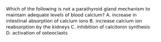 Which of the following is not a parathyroid gland mechanism to maintain adequate levels of blood calcium? A. increase in intestinal absorption of calcium ions B. increase calcium ion reabsorption by the kidneys C. inhibition of calcitonin synthesis D. activation of osteoclasts