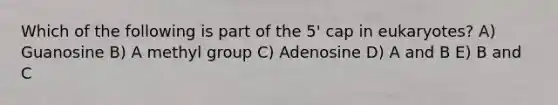 Which of the following is part of the 5' cap in eukaryotes? A) Guanosine B) A methyl group C) Adenosine D) A and B E) B and C