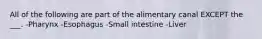 All of the following are part of the alimentary canal EXCEPT the ___. -Pharynx -Esophagus -Small intestine -Liver