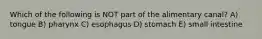 Which of the following is NOT part of the alimentary canal? A) tongue B) pharynx C) esophagus D) stomach E) small intestine