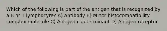 Which of the following is part of the antigen that is recognized by a B or T lymphocyte? A) Antibody B) Minor histocompatibility complex molecule C) Antigenic determinant D) Antigen receptor