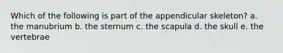 Which of the following is part of the appendicular skeleton? a. the manubrium b. the sternum c. the scapula d. the skull e. the vertebrae