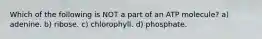 Which of the following is NOT a part of an ATP molecule? a) adenine. b) ribose. c) chlorophyll. d) phosphate.