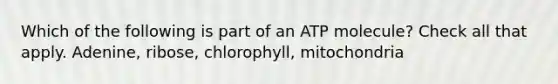 Which of the following is part of an ATP molecule? Check all that apply. Adenine, ribose, chlorophyll, mitochondria