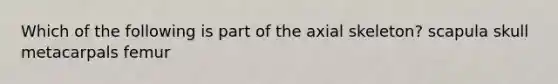 Which of the following is part of the axial skeleton? scapula skull metacarpals femur