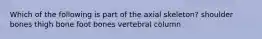 Which of the following is part of the axial skeleton? shoulder bones thigh bone foot bones vertebral column