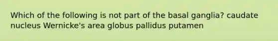 Which of the following is not part of the basal ganglia? caudate nucleus Wernicke's area globus pallidus putamen