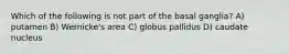 Which of the following is not part of the basal ganglia? A) putamen B) Wernicke's area C) globus pallidus D) caudate nucleus