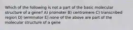 Which of the following is not a part of the basic molecular structure of a gene? A) promoter B) centromere C) transcribed region D) terminator E) none of the above are part of the molecular structure of a gene