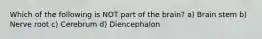 Which of the following is NOT part of the brain? a) Brain stem b) Nerve root c) Cerebrum d) Diencephalon