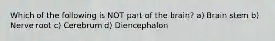 Which of the following is NOT part of the brain? a) Brain stem b) Nerve root c) Cerebrum d) Diencephalon