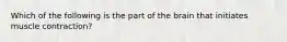 Which of the following is the part of the brain that initiates muscle contraction?