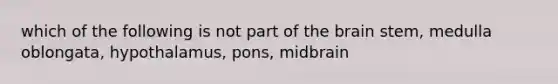 which of the following is not part of the brain stem, medulla oblongata, hypothalamus, pons, midbrain