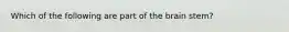 Which of the following are part of the brain stem?