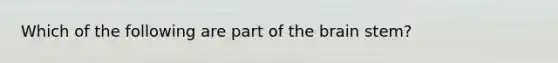 Which of the following are part of the brain stem?