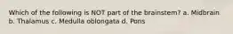 Which of the following is NOT part of the brainstem? a. Midbrain b. Thalamus c. Medulla oblongata d. Pons