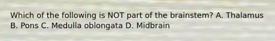 Which of the following is NOT part of <a href='https://www.questionai.com/knowledge/kLMtJeqKp6-the-brain' class='anchor-knowledge'>the brain</a>stem? A. Thalamus B. Pons C. Medulla oblongata D. Midbrain