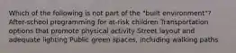 Which of the following is not part of the "built environment"? After-school programming for at-risk children Transportation options that promote physical activity Street layout and adequate lighting Public green spaces, including walking paths