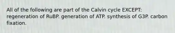 All of the following are part of the Calvin cycle EXCEPT: regeneration of RuBP. generation of ATP. synthesis of G3P. carbon fixation.