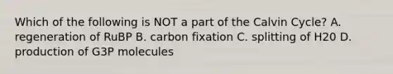 Which of the following is NOT a part of the Calvin Cycle? A. regeneration of RuBP B. carbon fixation C. splitting of H20 D. production of G3P molecules