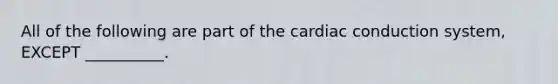 All of the following are part of the cardiac conduction system, EXCEPT __________.