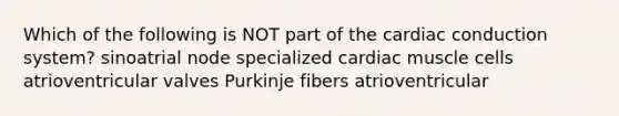 Which of the following is NOT part of the cardiac conduction system? sinoatrial node specialized cardiac muscle cells atrioventricular valves Purkinje fibers atrioventricular