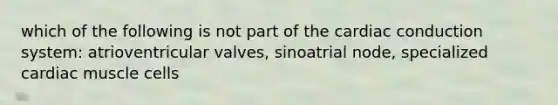 which of the following is not part of the cardiac conduction system: atrioventricular valves, sinoatrial node, specialized cardiac muscle cells