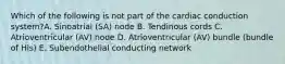 Which of the following is not part of the cardiac conduction system?A. Sinoatrial (SA) node B. Tendinous cords C. Atrioventricular (AV) node D. Atrioventricular (AV) bundle (bundle of His) E. Subendothelial conducting network