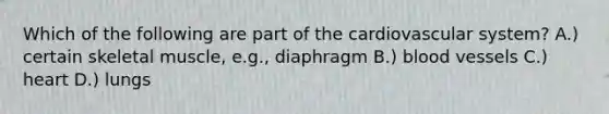 Which of the following are part of the cardiovascular system? A.) certain skeletal muscle, e.g., diaphragm B.) blood vessels C.) heart D.) lungs