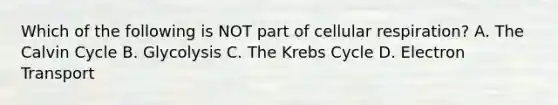 Which of the following is NOT part of cellular respiration? A. The Calvin Cycle B. Glycolysis C. The Krebs Cycle D. Electron Transport