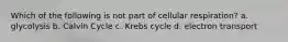 Which of the following is not part of cellular respiration? a. glycolysis b. Calvin Cycle c. Krebs cycle d. electron transport