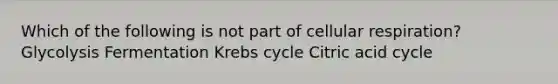 Which of the following is not part of <a href='https://www.questionai.com/knowledge/k1IqNYBAJw-cellular-respiration' class='anchor-knowledge'>cellular respiration</a>? Glycolysis Fermentation <a href='https://www.questionai.com/knowledge/kqfW58SNl2-krebs-cycle' class='anchor-knowledge'>krebs cycle</a> Citric acid cycle