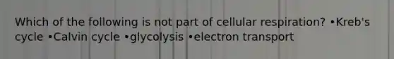 Which of the following is not part of cellular respiration? •Kreb's cycle •Calvin cycle •glycolysis •electron transport