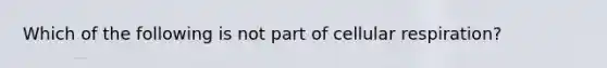 Which of the following is not part of cellular respiration?