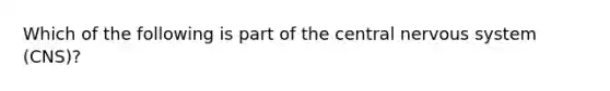 Which of the following is part of the central nervous system (CNS)?