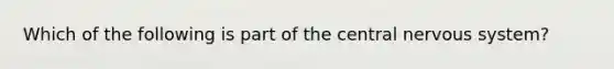 Which of the following is part of the central nervous system?