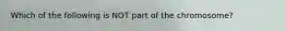 Which of the following is NOT part of the chromosome?