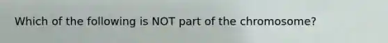 Which of the following is NOT part of the chromosome?