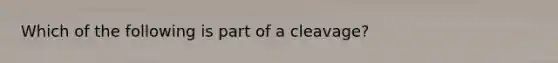 Which of the following is part of a cleavage?