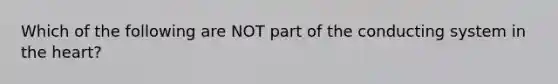 Which of the following are NOT part of the conducting system in the heart?