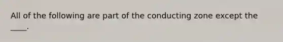 All of the following are part of the conducting zone except the ____.